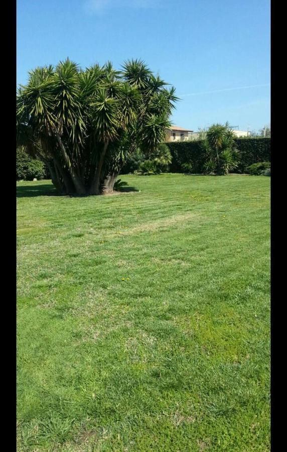 Garden Basement - Seminterrato Max 4 Ospiti - Fiumicino Vicino Aeroporto E Fiera Apartment Exterior foto
