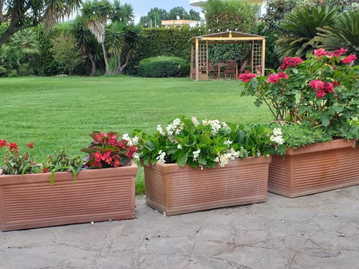 Garden Basement - Seminterrato Max 4 Ospiti - Fiumicino Vicino Aeroporto E Fiera Apartment Exterior foto